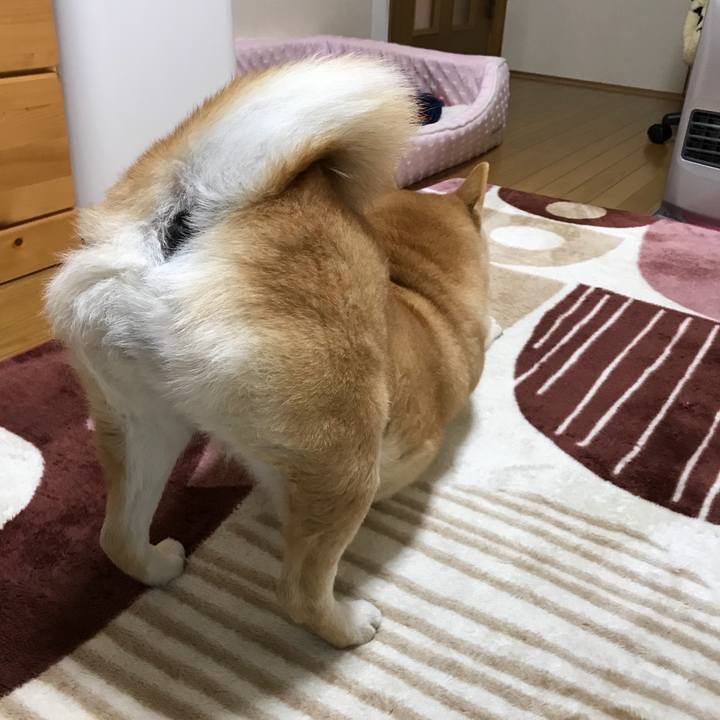 Abf8ef37 519e 4831 8c1e 23f8840bf53e 1519883930440