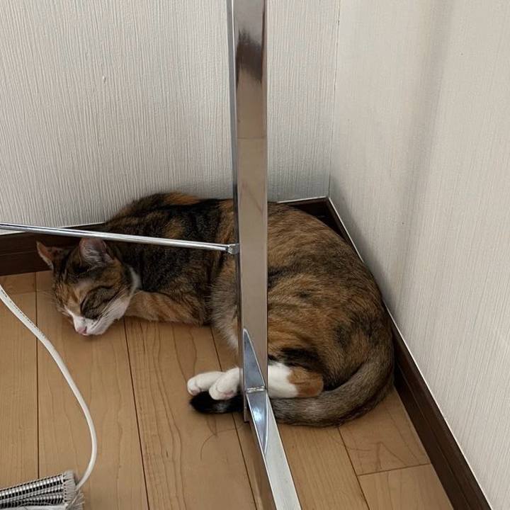 Abf8fc42 677b 46d1 82ca 0a512dc8be17 1722226254190