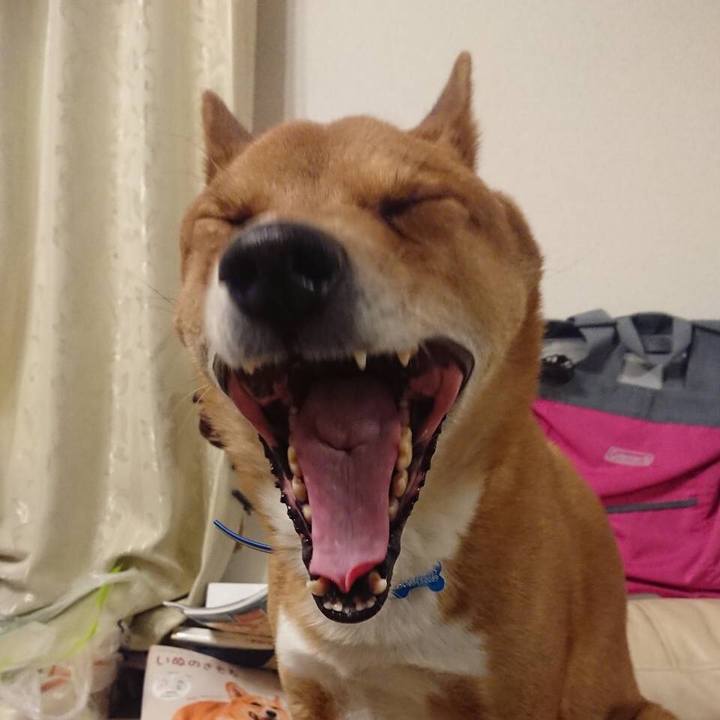 Abf90c56 54cd 4ec2 bf24 f18532270b9d 1644998230984