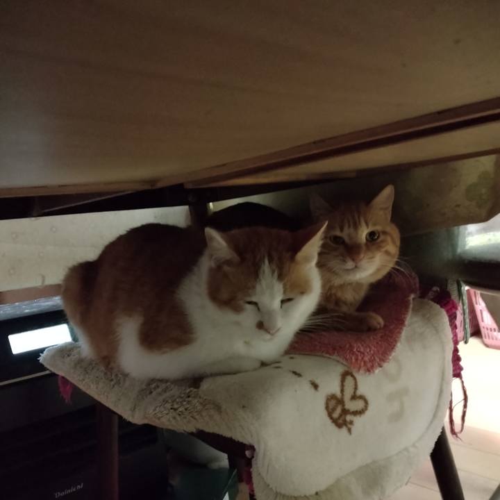 Abf931df 847b 4837 b20a 5d8288b8f15b 1773300498174