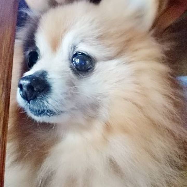 Abf9685a 3ef4 4fb4 9f94 cebc2a5cb20a 1523403925349