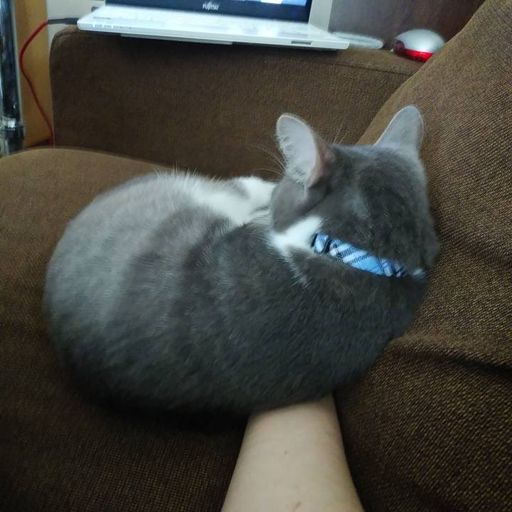 Abf9837c b61b 4329 a562 c7f33b41d1ad 1594963274788