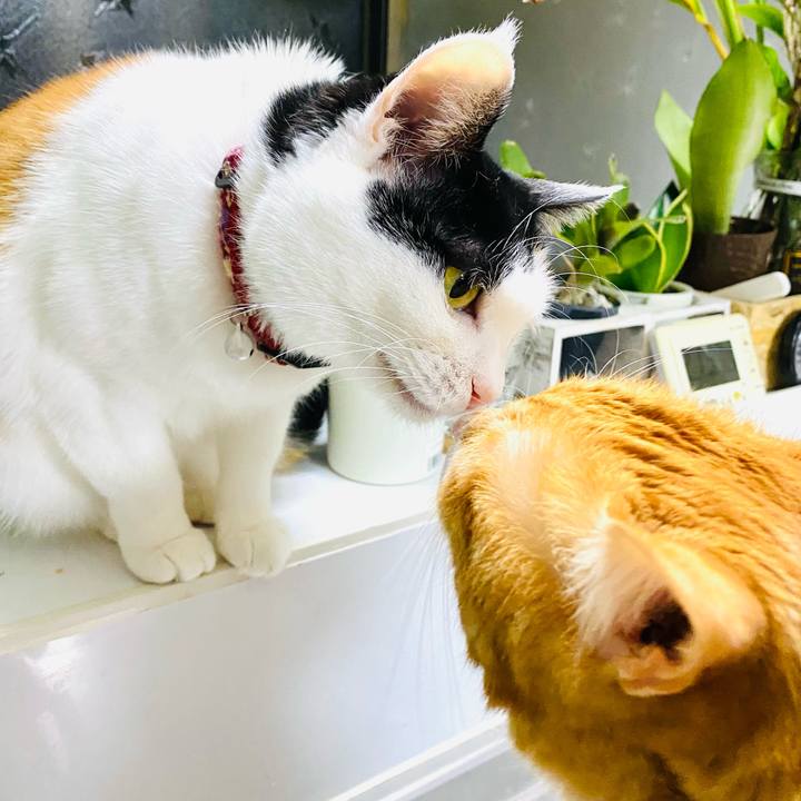 Abf9c701 54b4 443f a62b feb778e6536c 1677103177191