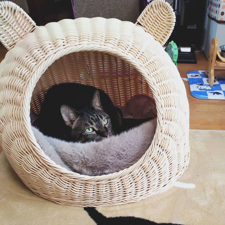 Abf9d957 15eb 4b8c 904d a64a0ae61fb4 1775362563746