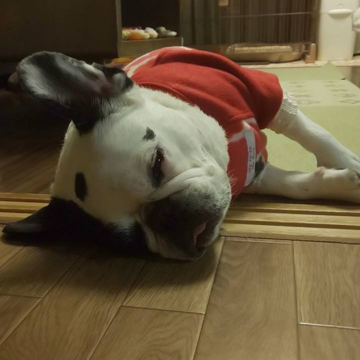 Abfa05c2 11ae 4f27 855b 68d02e60ae45 1637417110292