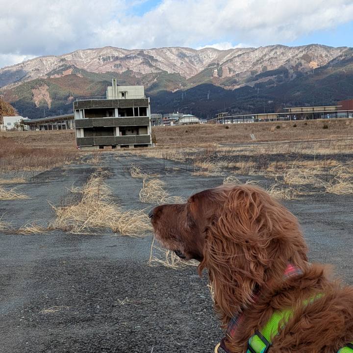 Abfa1373 80af 46ce 940b 5c4f55661e43 1770025864927