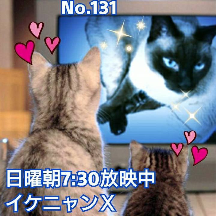 Abfa18aa 6db3 4e7f 8a23 34b34a55091c 1529757636156