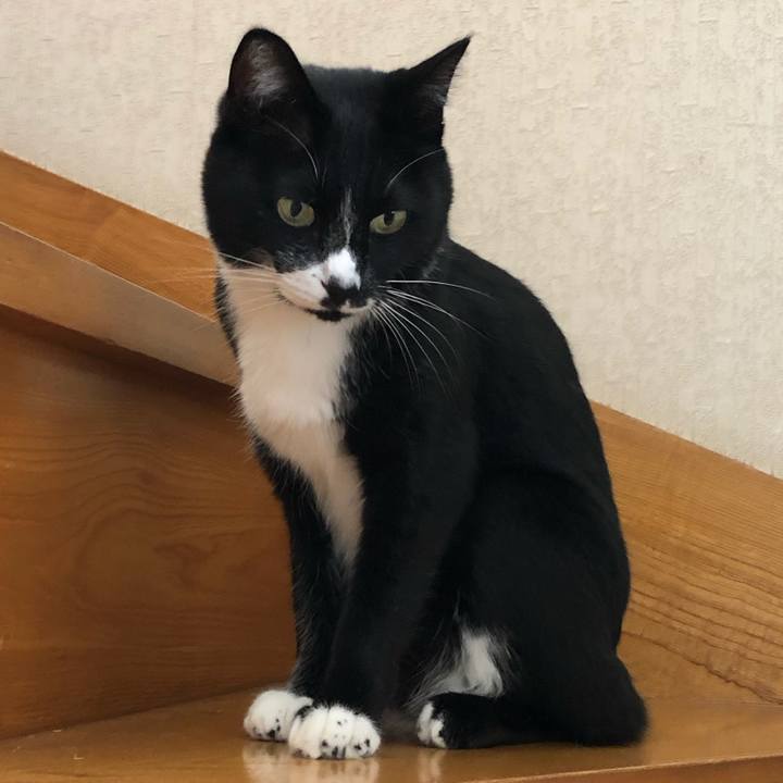 Abfa28b8 3d47 4763 a03e c0ec7f1280f6 1602215126807