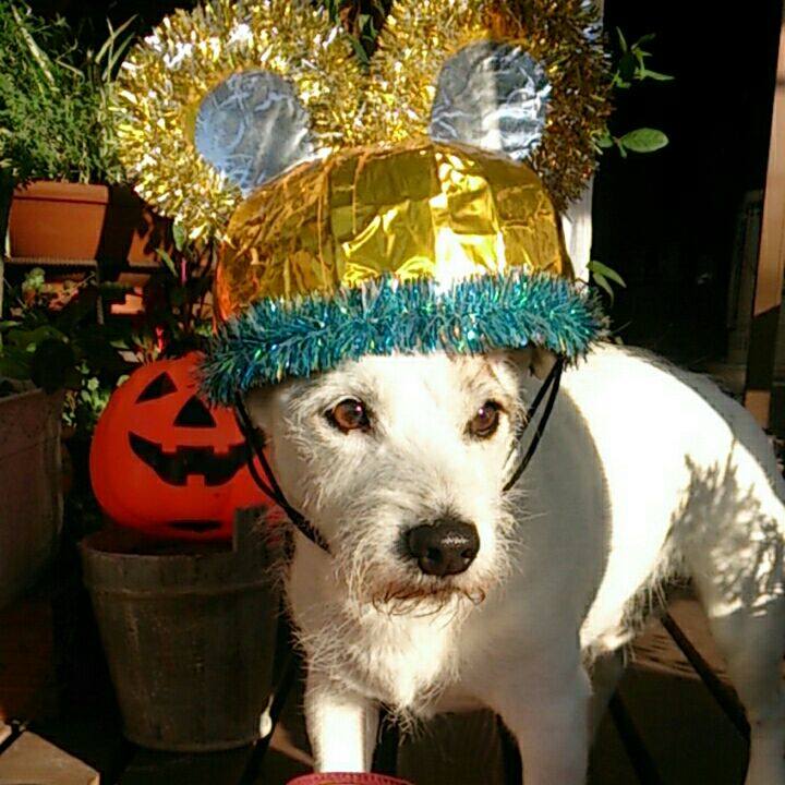 Abfa50ea fc0b 43a0 9c8b 0d6e2cf12c31 1509404730319