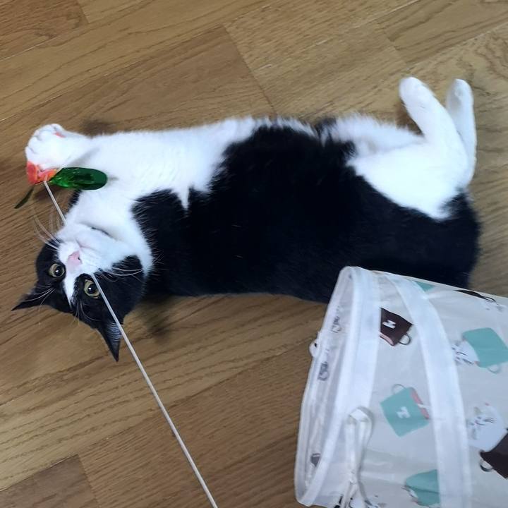 Abfa71a0 ee40 4169 a6c7 f52d975459c6 1582273800280