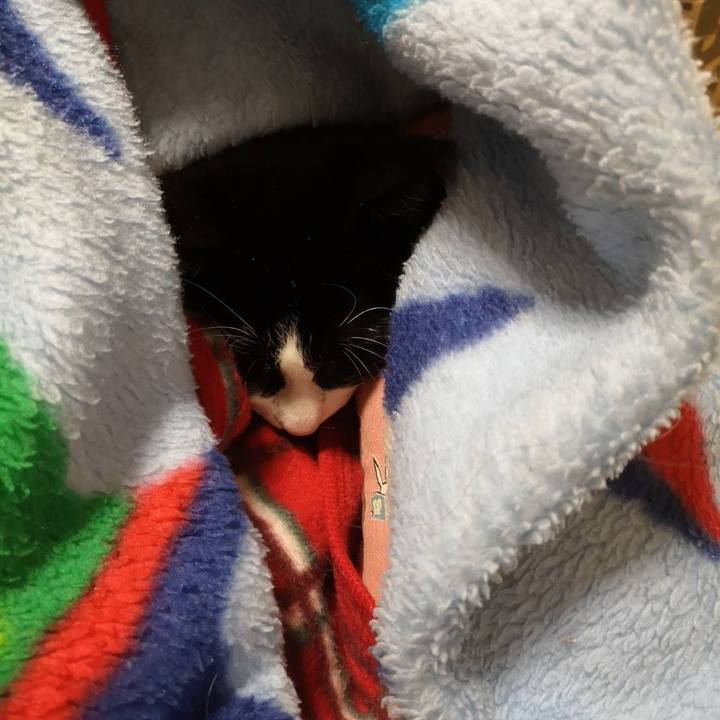 Abfa8ee1 8422 438f 8faa bb5af3198c27 1667107854715