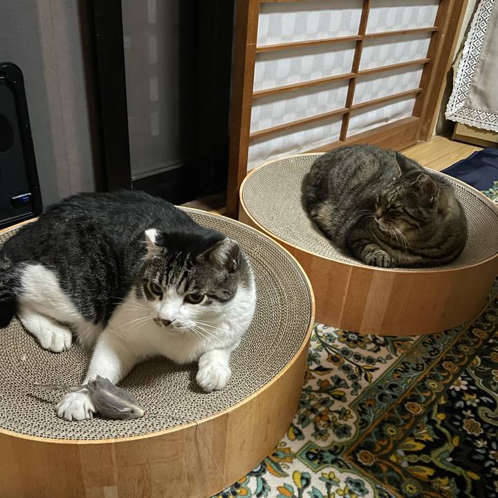 Abfaa2e4 304c 4dc8 bbe6 ee38a004b753 1634287902254