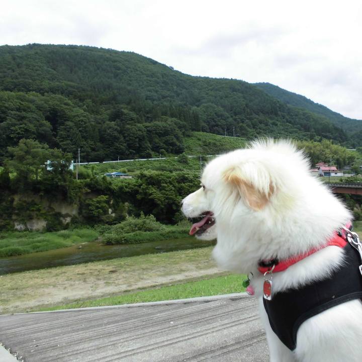 Abfabdcf feeb 4485 aeda f2df64043d69 1550243079315