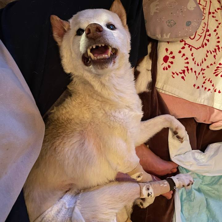 Abfb09a1 a51a 48ed aff0 b821d8f46a9f 1679393045757