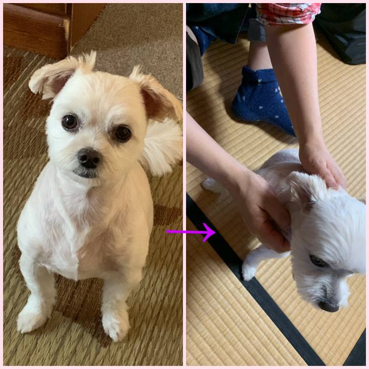 Abfb1ea9 c9ca 4dd4 a786 cdaf9182fc3e 1569929679814