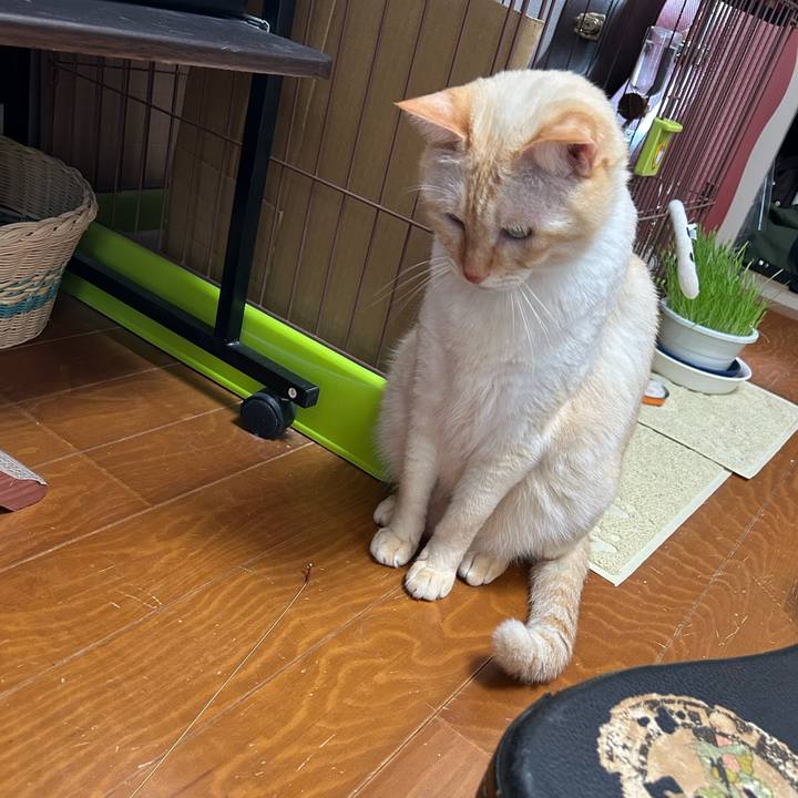 Abfb5478 cf4c 4dea 89bb 301077d784a1 1752219519149