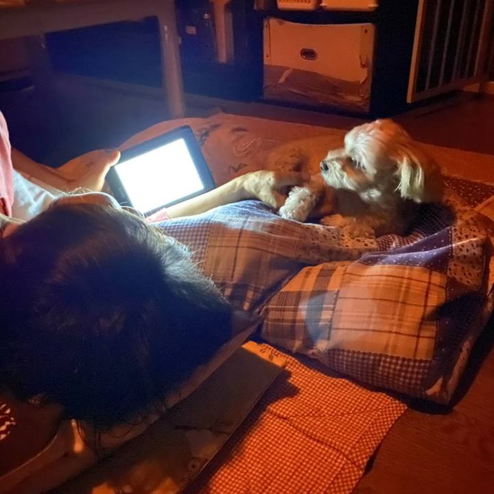 Abfb8f9e bad1 4e5d 8afb 74468267010e 1602370925555