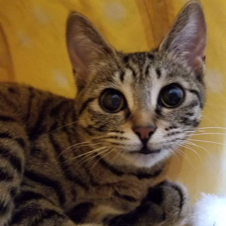 Abfb9074 28ad 4d53 a68b 3af7e7c3b241 1549288218281