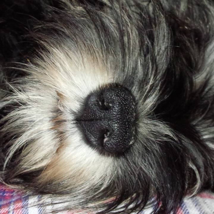 Abfb9c3f b43e 454e b910 68da4a74119e 1523543779373