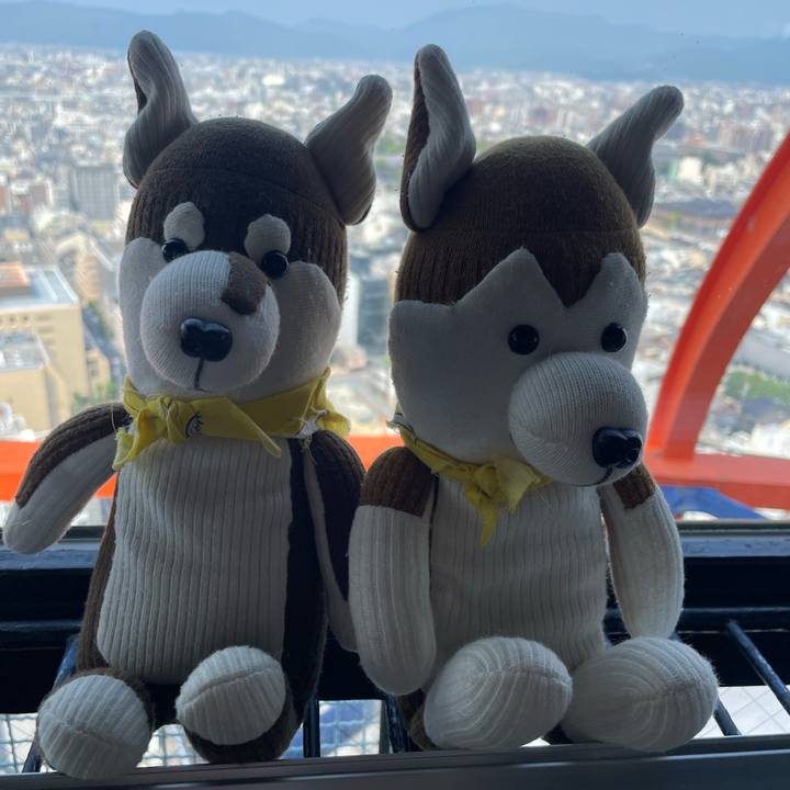 Abfbb165 84ed 4d9c 8f16 cb18bac9ec6b 1725873967326