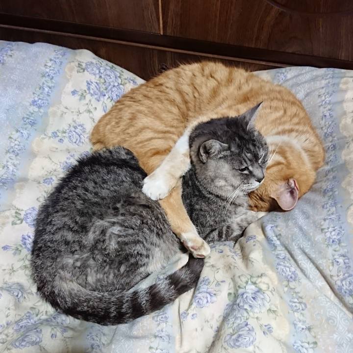 Abfbd275 0234 403f 8eeb 32a97a6c949c 1581943134551