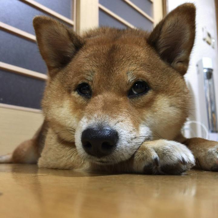 Abfbe49f b813 4742 b4c7 319dc03e6ed5 1557405034027