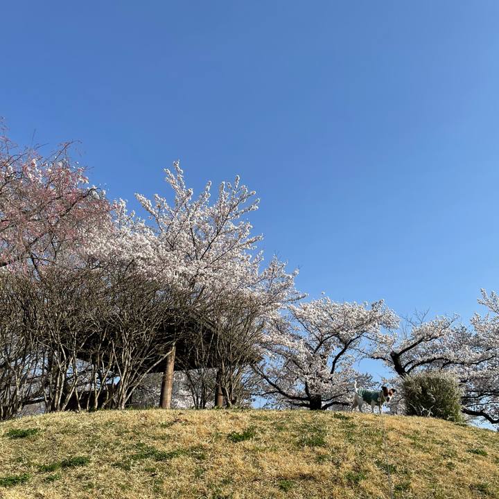 Abfc3713 8c3e 4b5e a255 4eba08fd525b 1649761620679