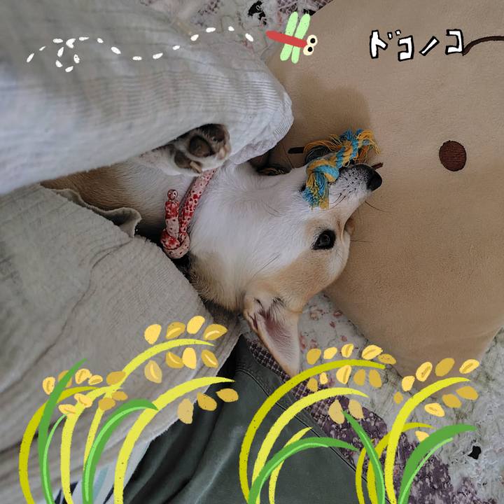 Abfc4bbe a20a 44fc b0d8 cbe77b35d8f4 1761262025864