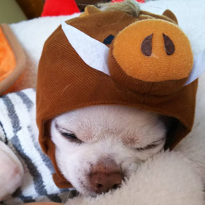 Abfc5a9b f34e 40fd 8bd6 291386b94e20 1541890971151