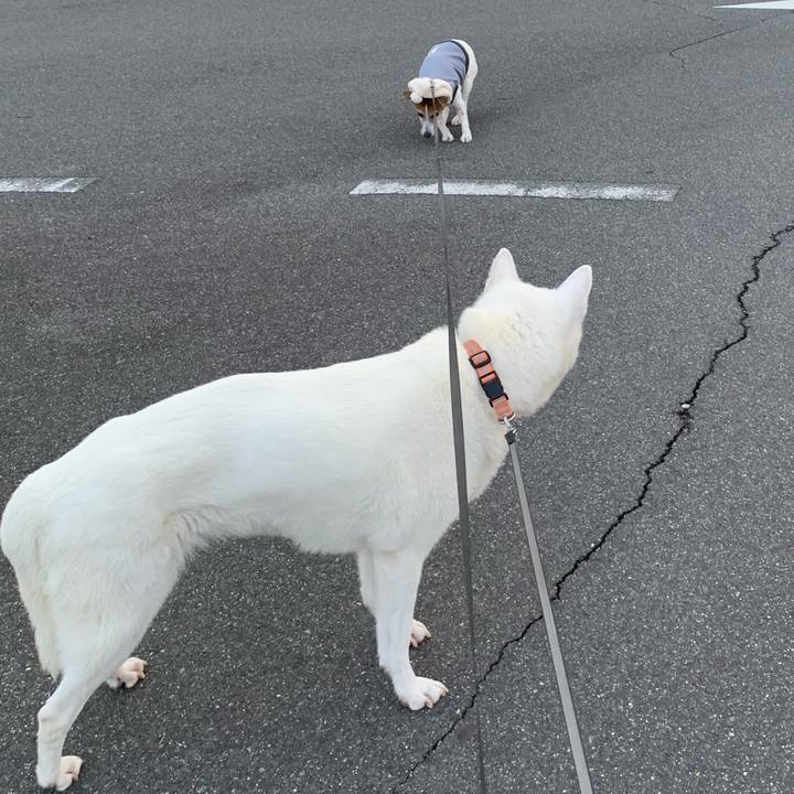 Abfc6375 b944 42a2 8094 78fdf8d0f0fd 1578097114075