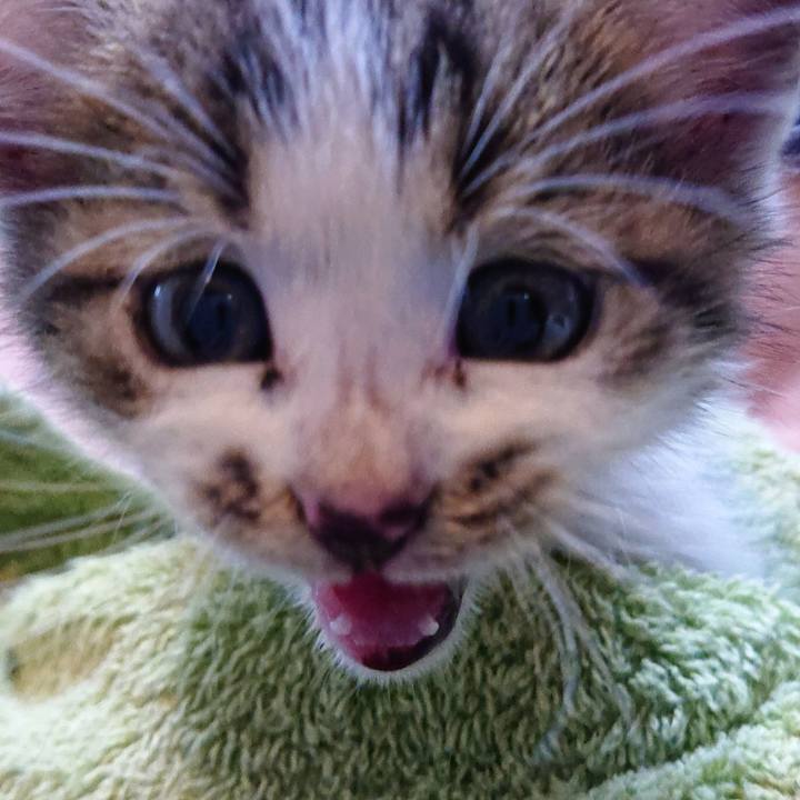 Abfc858e 5fe4 42ba a2c7 db929f4bda27 1538477186154