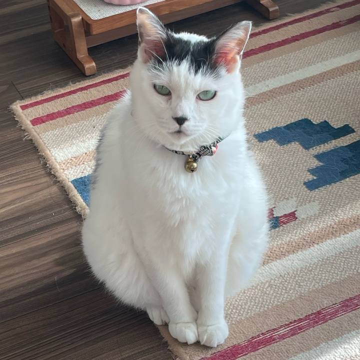 Abfca233 ff15 4798 8d2a 73fea962f660 1696056290139