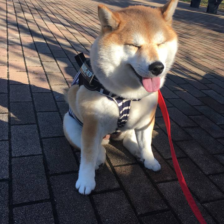 Abfcbd91 49aa 41f4 a02d 8004efa9e84a 1575347355915