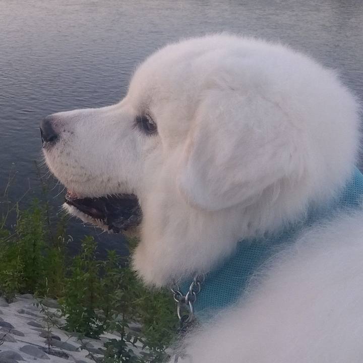 Abfcd381 d348 4dac aa4f 39b3f1057b86 1694564197545