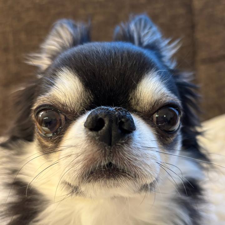 Abfce60c c17a 4e1e 8653 f14317e98db5 1743202553452