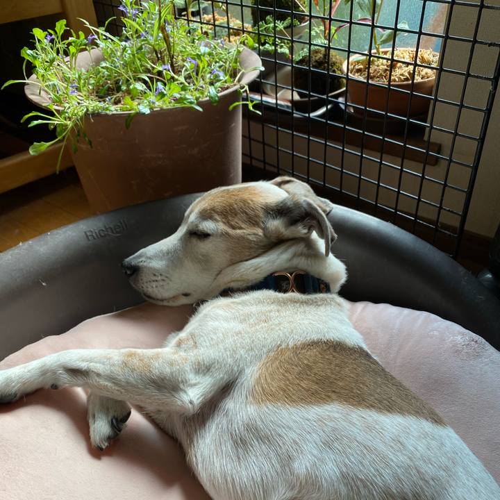 Abfd30f0 d5b6 4a63 b3fb 7c95c81aec10 1613015911987