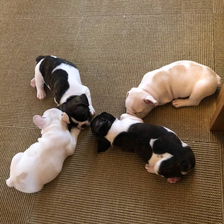 Abfd3a12 327e 4d50 b0c4 964feb6ab765 1593249139138