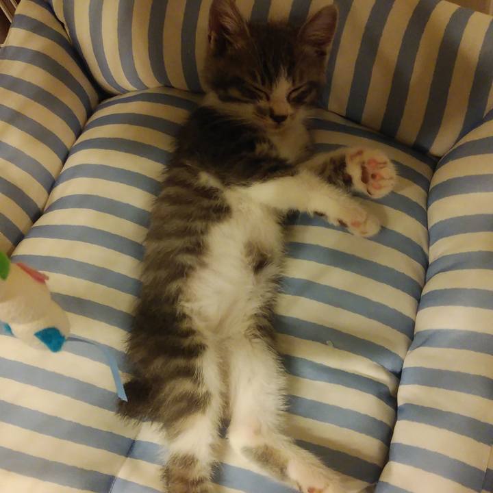 Abfd3de1 b6e3 4ec9 b1be 0c557bed9857 1560529514327