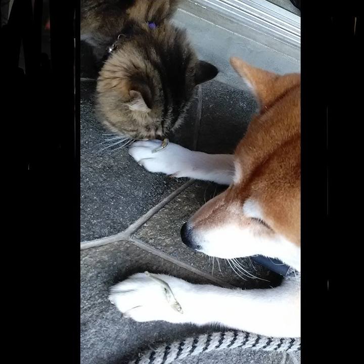 Abfd6f7c 3b52 4da1 812d 9543de9d0585 1630885512150