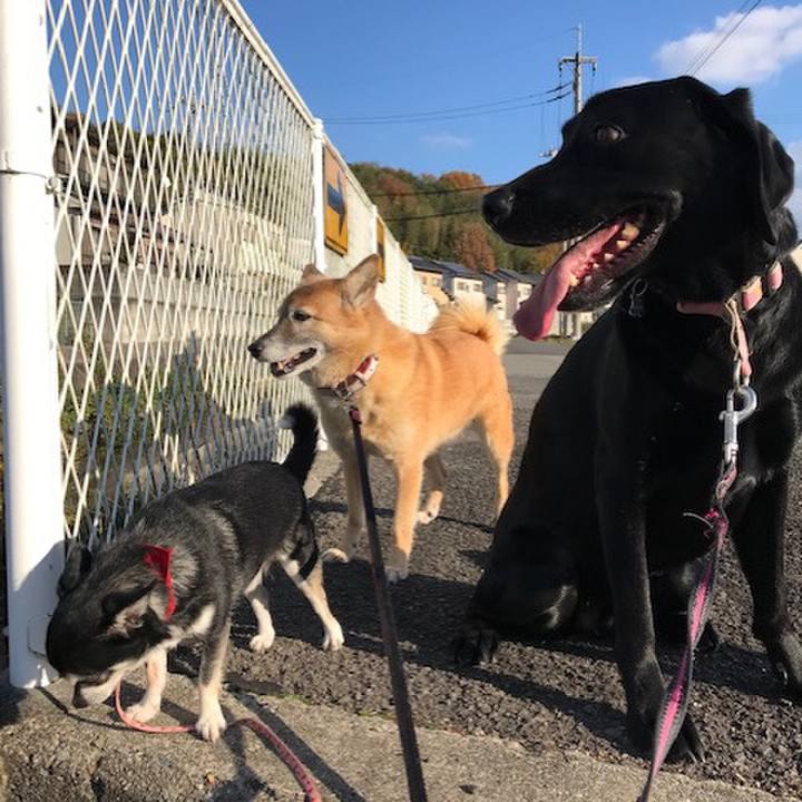 Abfd96cc 639a 4387 9d72 fd9be0655a6f 1678924482132