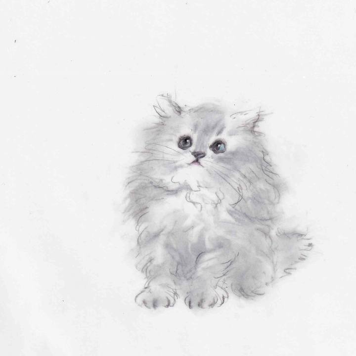 Abfdc210 226c 485e 9467 daf18a16a98e 1637024188604