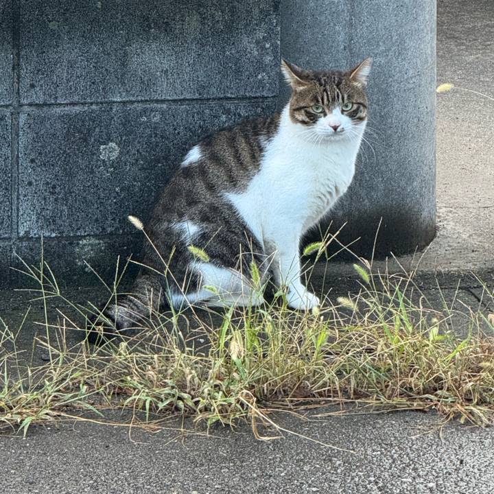 Abfdfd5a b95d 461e 9c8d 854b9cde182e 1758416125952