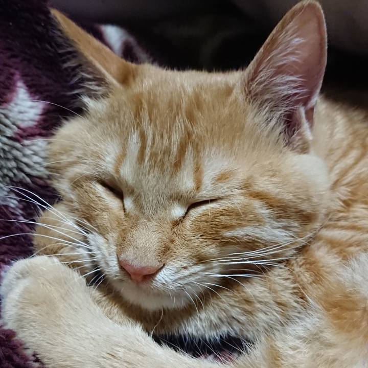 Abfe5da6 473f 4547 b680 9634a8aa7625 1636548268760