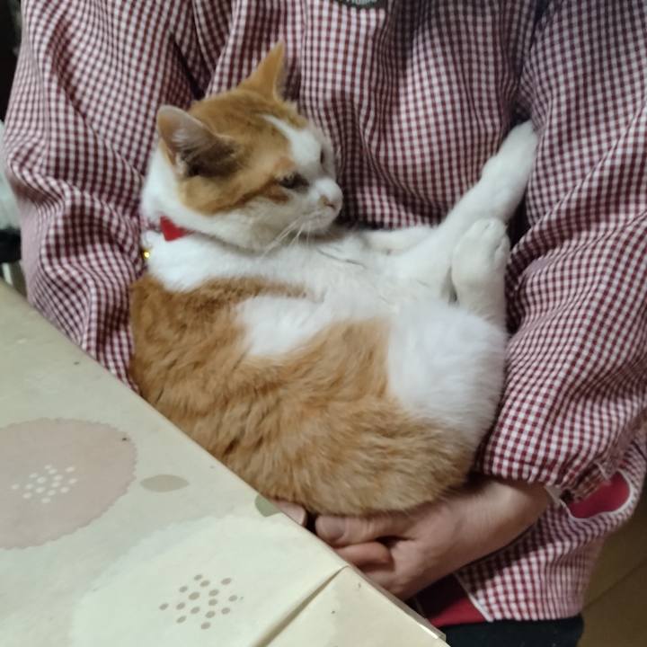 Abfe6600 f2d6 4ad1 88e1 17904e257f9d 1745041383072