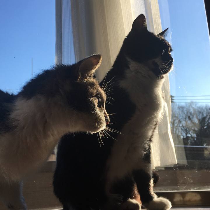 Abfe77fa 062e 4e60 9de9 3bcdc7b90f56 1515829066606