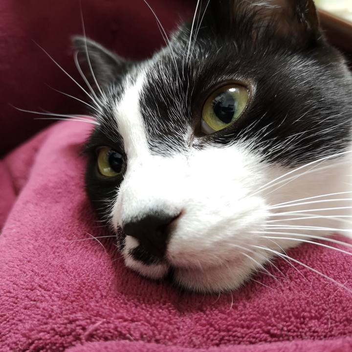 Abfeeb5e fe72 4edd 85b1 c6b58f8bd311 1546008264638