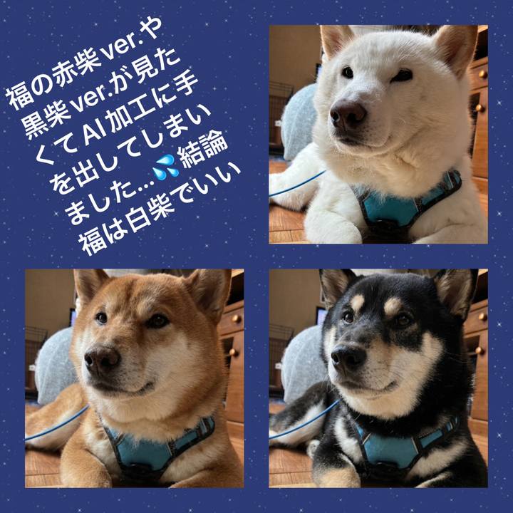 Abfeecfc f18d 4d6b aeee 433a2bf2d80a 1772337490869