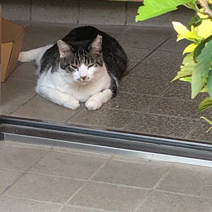 Abff5c79 0c20 45e7 9ced 91af8f9eedc8 1564662091974