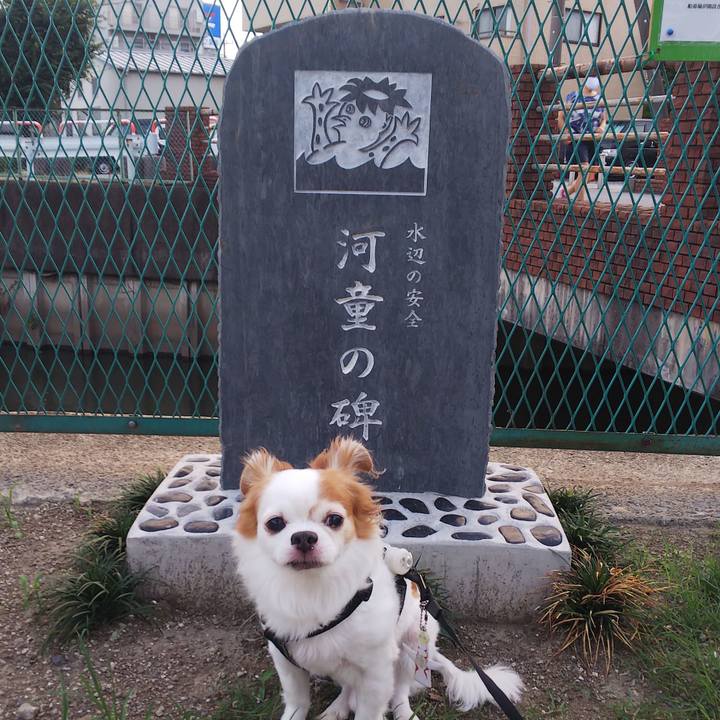 Abff8d6c c952 43fa b8f5 b283bffce09b 1597570065223