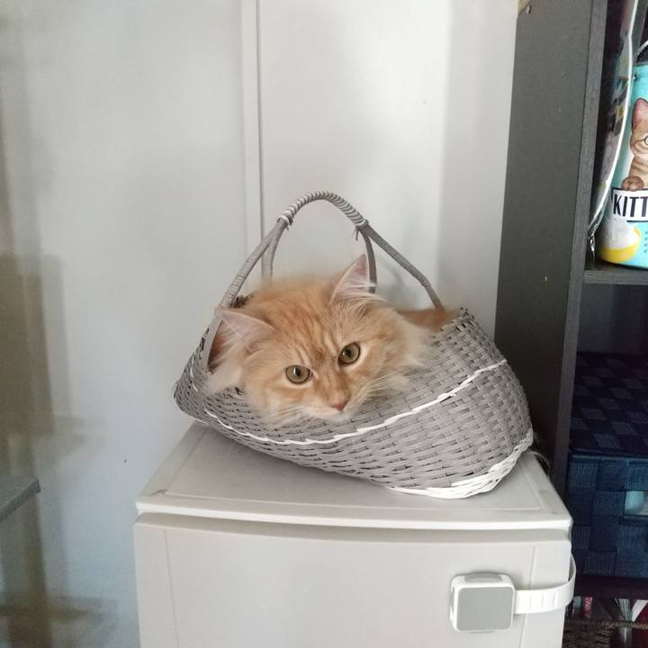 Abff8e03 0ebf 4915 92f3 38e89c53cd4a 1719641876668